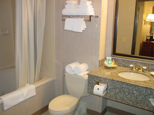 غرفة ديلوكس مفردة، The Marx Hotel Downtown University Area (ex Clarion) 2/3