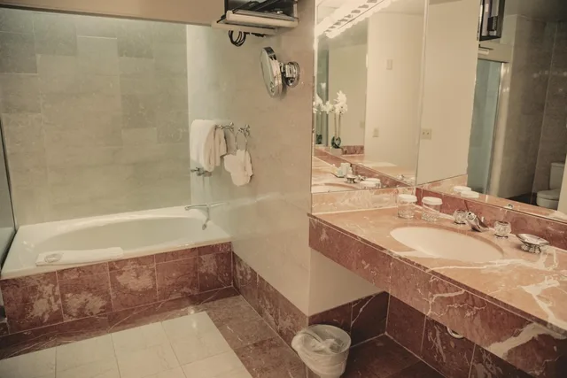 Executive, Suite, King Bed, City View, Sofa, Jetted Tub, Haywood Park Hotel, Ascend Hotel Collection 4/4