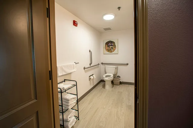 غرفة بسرير كينج بحوض استحمام لذوي الإعاقة، Hilton Garden Inn Rapid City 3/3