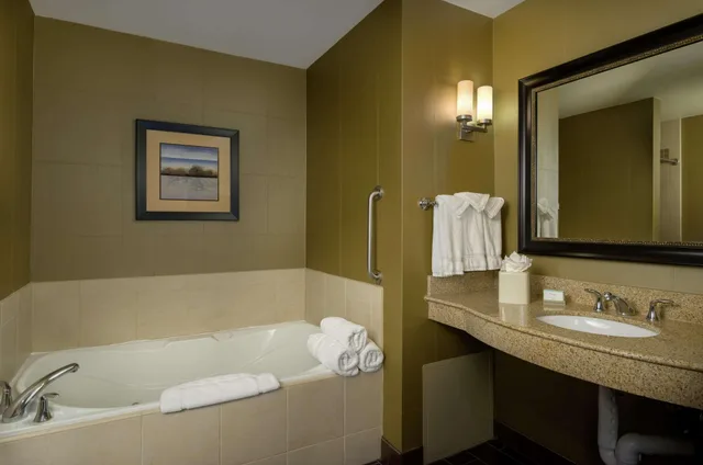 جناح بسرير كينج بجاكوزي لذوي الإعاقة، Hilton Garden Inn Phoenix Airport North 3/3