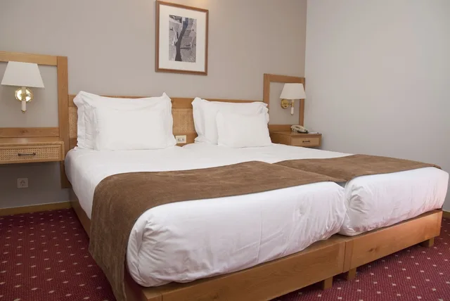 غرفة بسريرين منفصلين، Hotel Rainha D Amelia Arts Leisure 1/1