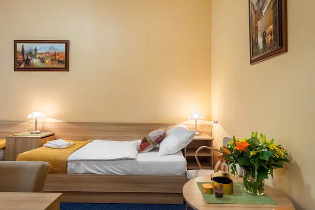 غرفة قياسية مفردة، Hotel D Angelo 2/5