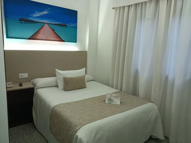 Business, Single, Hotel Plaza del Castillo 1/3