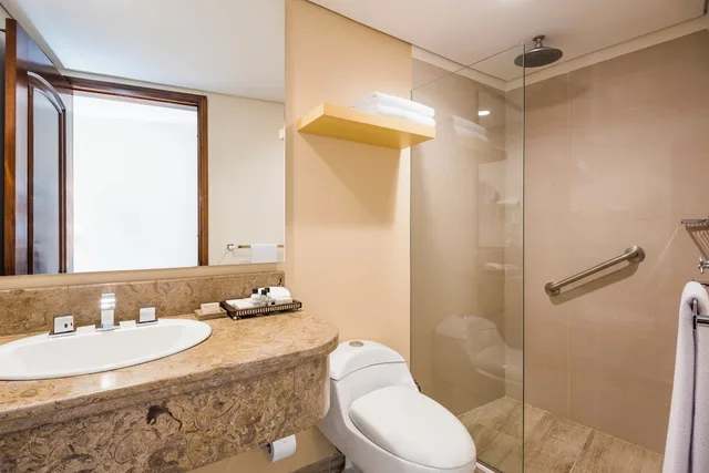 Xxxxl, Junior Suite, Single, Queen Bed, Cosmos 100 Hotel and Centro de Convenciones - Hoteles Cosmos 4/4