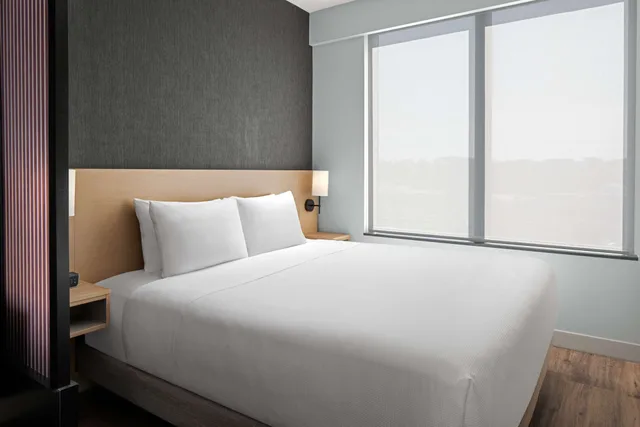 غرفة بسرير كينج بإطلالة مع أريكة لذوي الإعاقة، Hyatt Place Atlanta / Perimeter Center 1/2