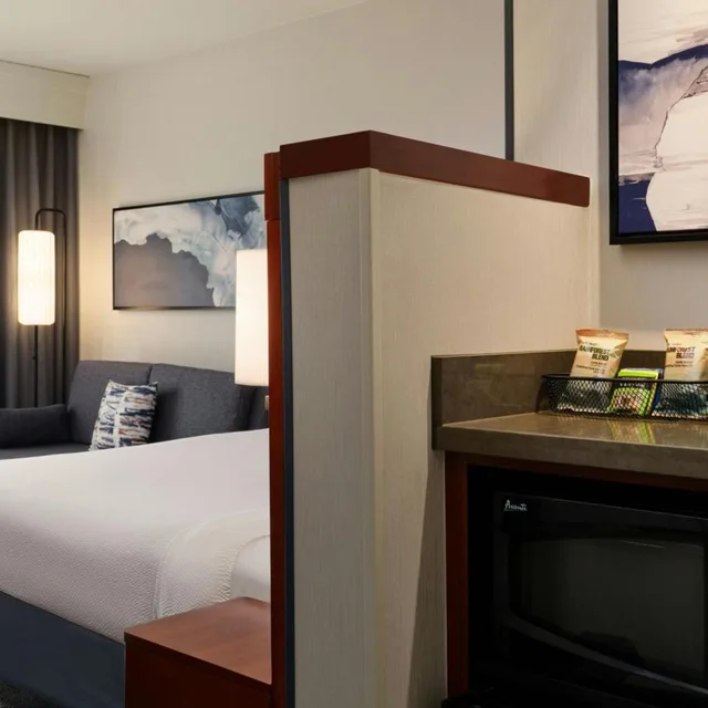 غرفة بسرير كينج بحوض استحمام لذوي الإعاقة، Courtyard By Marriott San Luis Obispo 4/6