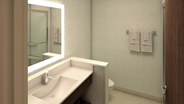 غرفة قياسية بسرير كينج لذوي الإعاقة، Holiday Inn Express and Suites Taylor 2/5