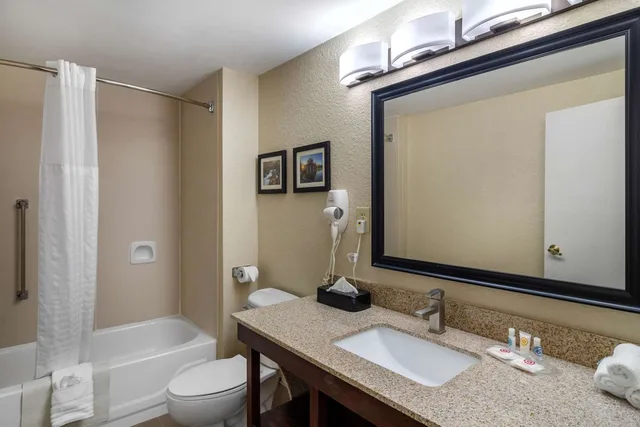 Suite, King Bed, Comfort Suites Woodstock - Atlanta North 3/4