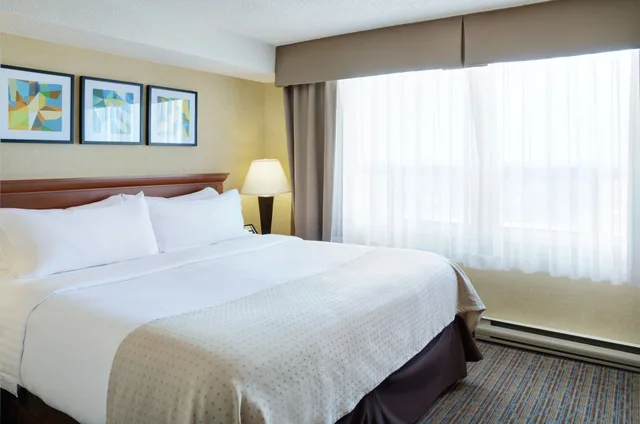 جناح بسرير كينج مع أريكة، Holiday Inn Hotel And Suites London 4/7