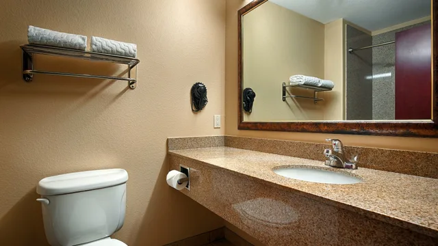 غرفة قياسية بسريرين كوين لذوي الإعاقة، Best Western Plus Katy Inn & Suites 3/3