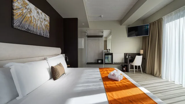 غرفة كلاسيكية بسرير مزدوج مع أريكة، Vision Hotel 1/10