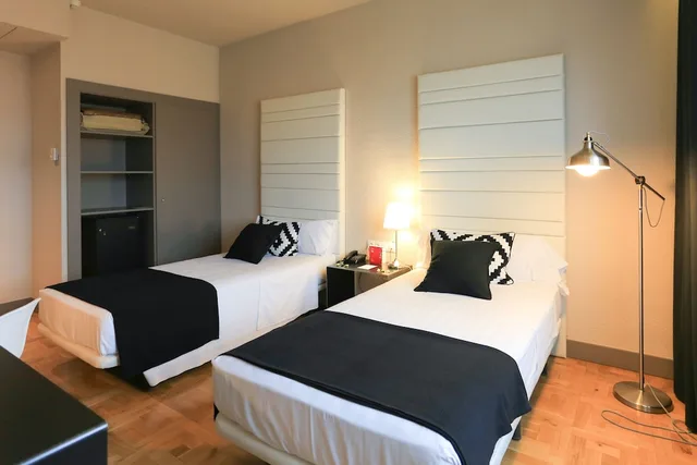 غرفة قياسية بسريرين منفصلين، Hotel Sercotel Leyre 4/10