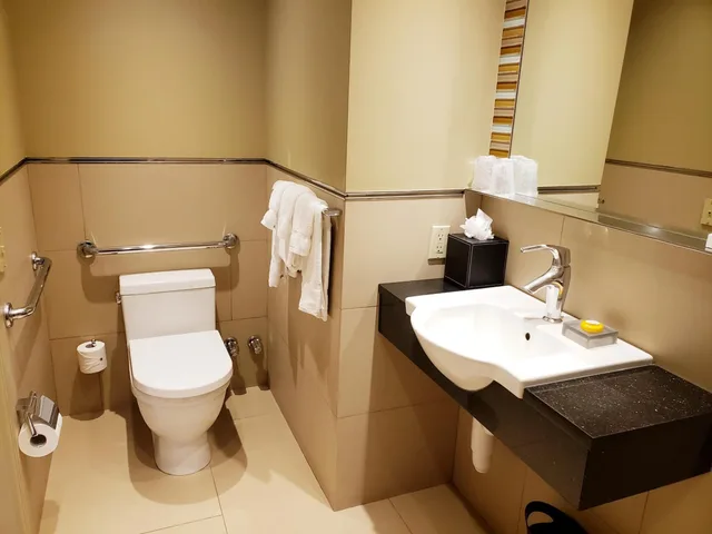 غرفة بسرير كينج لذوي الإعاقة، The Belvedere Hotel 3/5