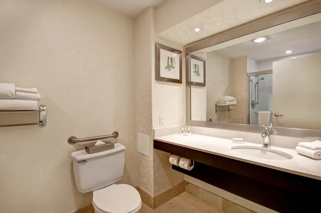 Room, Queen Bed, Accessible, Holiday Inn Suites Windsor Ambassador Bridge 3/3