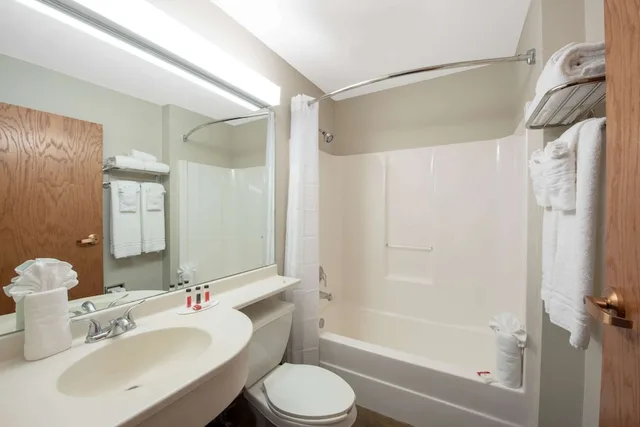 جناح استوديو بسرير كوين، Microtel Inn Suites By Wyndham Springfield 6/10