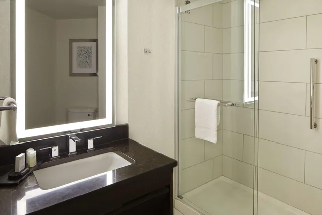 استوديو بسرير كينج، Embassy Suites by Hilton Atlanta Galleria 2/2