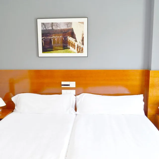 Standard, Double or Twin Bed, Hotel Alda Ciudad de Soria 6/9