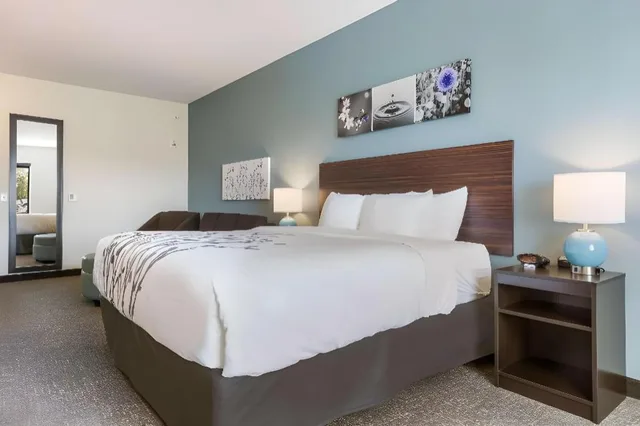 غرفة بسرير كينج بحوض استحمام لذوي الإعاقة، Sleep Inn & Suites Webb City 3/7