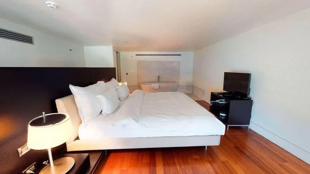 دوبلكس حصري، Ajia Hotel 1/3