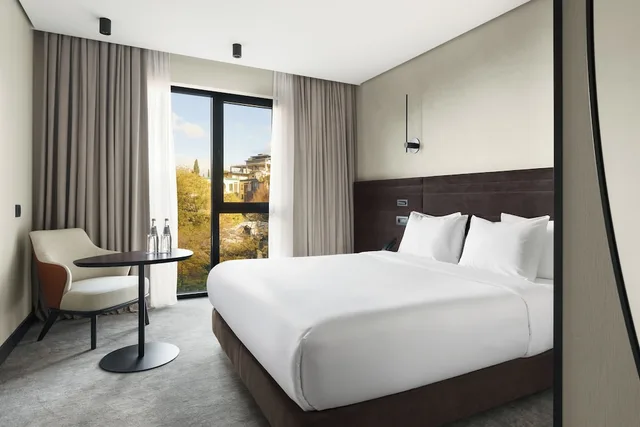 غرفة تنفيذية بسرير كينج، Novotel Tbilisi Center 2/10