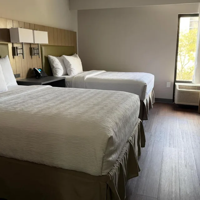 جناح بسرير مزدوج بغرفة نوم واحدة، Wingate by Wyndham Jacksonville FL 2/6