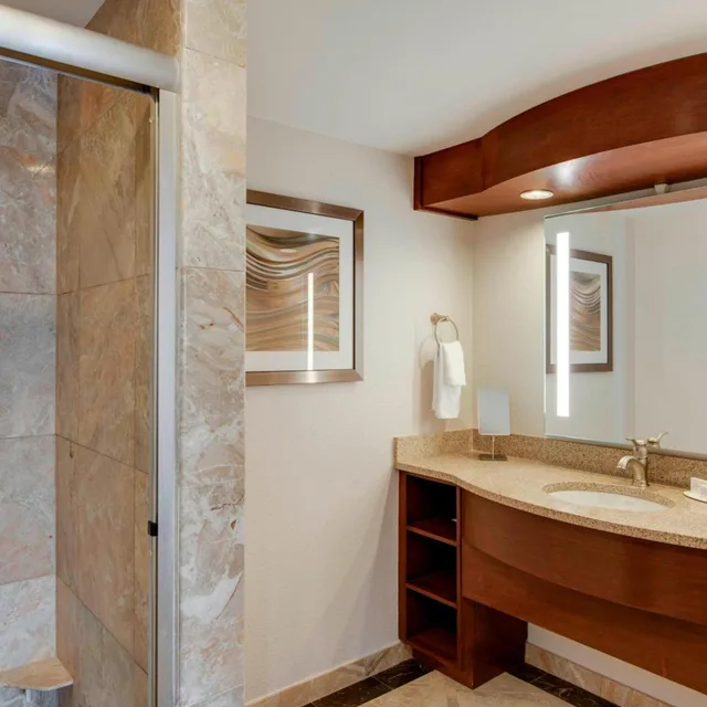 غرفة بسرير كينج بحوض استحمام في طابق مرتفع لذوي الإعاقة، COURTYARD BY MARRIOTT LOGAN AIRPORT 5/7