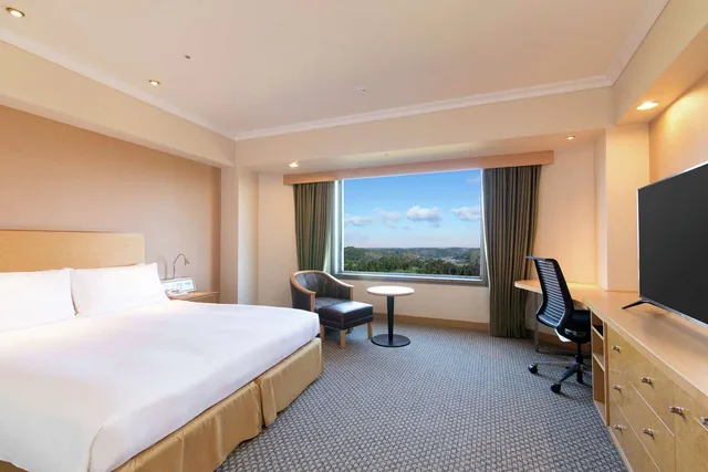 Plus, Deluxe, Queen Bed، Hilton Tokyo Narita Airport 1/5