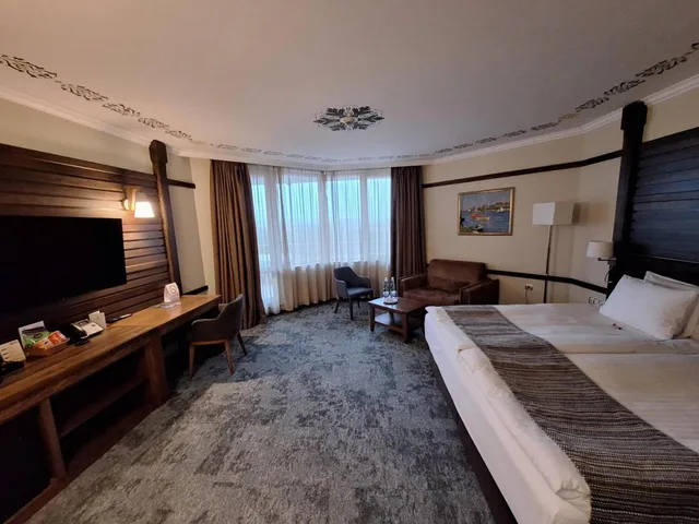 غرفة تنفيذية بسرير مزدوج أو سريرين منفصلين، Hot Springs Medical & Spa Hotel 6/8