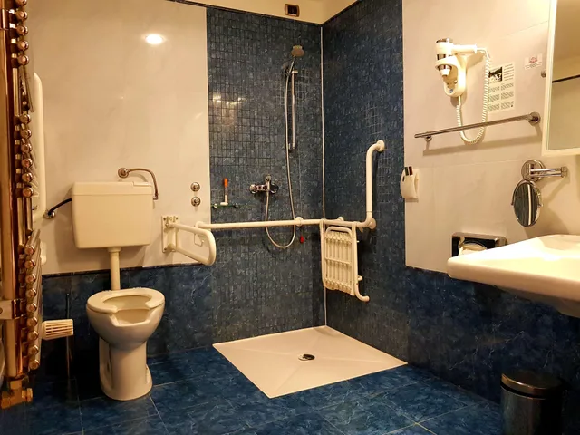 غرفة ديلوكس مفردة، Best Western Premier Hotel Astoria 2/4