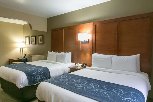 جناح بسريرين كوين مع أريكة لذوي الإعاقة، Comfort Suites Austin NW Lakeline 1/3