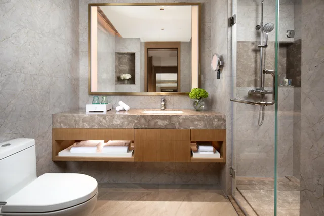 غرفة بسريرين منفصلين لذوي الإعاقة، Holiday Inn Shunde 2/2