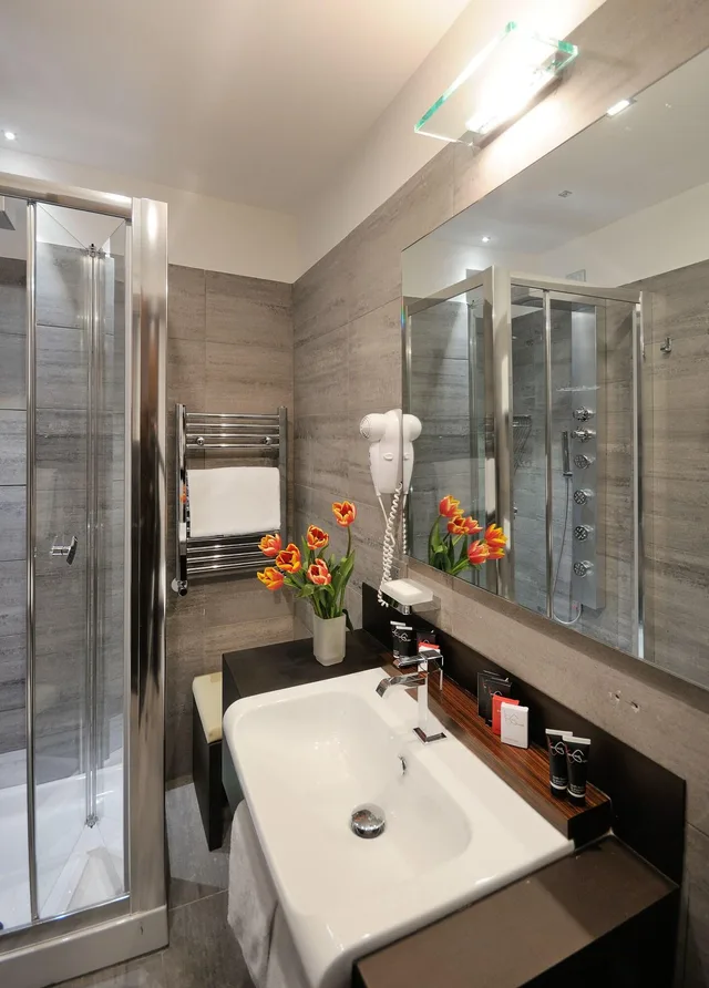 غرفة مفردة بسرير مزدوج، Hotel Trevi Collection 3/4