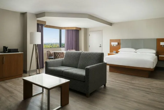 Junior Suite, Studio, King Bed, Sofa, Large، SACRAMENTO MARRIOTT RANCHO CORDOVA 1/3
