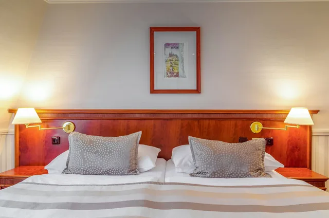 غرفة بسرير مزدوج أو سريرين منفصلين بإطلالة على الحديقة، Adria Hotel Prague 5/8