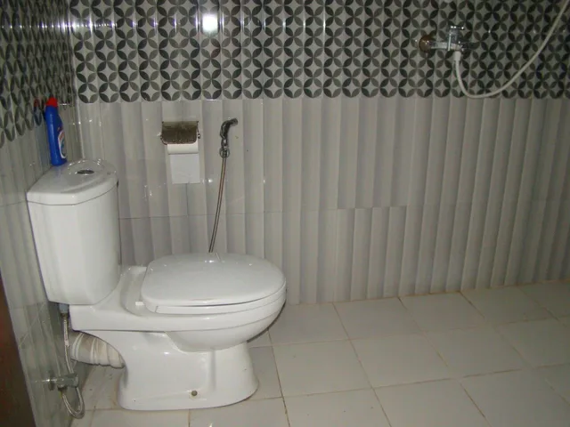 غرفة ديلوكس بسرير مزدوج، Bentota Dilu Villa 3/5
