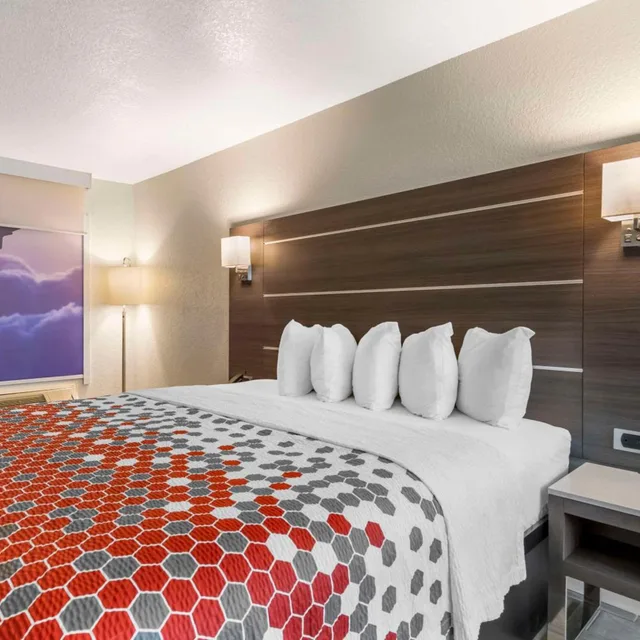 جناح بسرير كينج مع أريكة يُسمح فيها بالحيوانات الأليفة لذوي الإعاقة، Econo Lodge Inn & Suites Near Lackland AFB San Antonio, TX 4/6