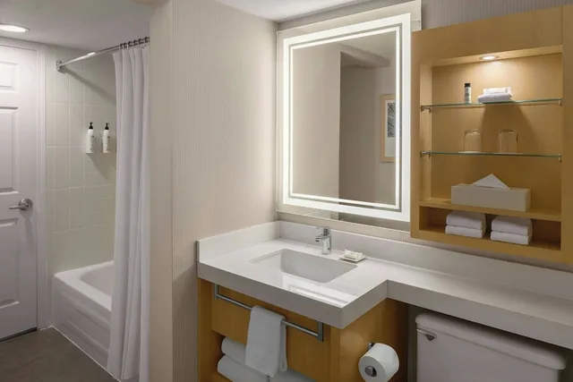1 Bedroom, Suite, Resort View، Delta Whistler Village Suites 4/5