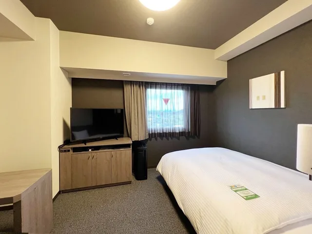 Comfort, Single, Smoking, Hotel Route-Inn Seki 1/1