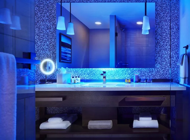 غرفة كلاسيكية بسريرين كوين لذوي الإعاقة، INTERCONTINENTAL MINNEAPOLIS - ST. PAUL AIRPORT 3/5
