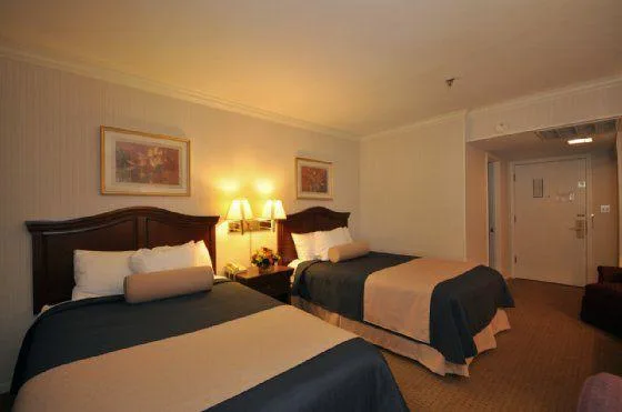 غرفة قياسية بسرير مزدوج، Best Western at O Hare 3/4