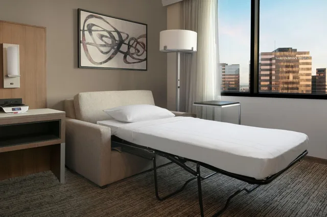 غرفة ديلوكس بسرير كينج، Houston Marriott Medical Center/Museum District 2/3