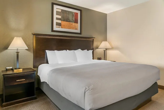 Room, King Bed, Accessible, Quality Inn Suites Next To the Casino 2/2
