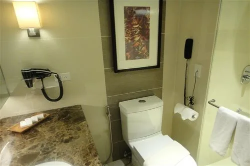 Premier, Single, Best Western Plus The Ivywall Hotel 2/2
