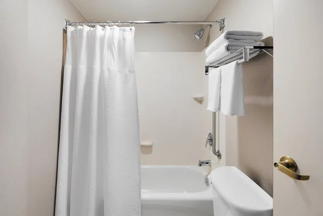Suite, King Bed, Trundle Bed, Sofa, Bathtub, Accessible, Springhill Suites Richmond North Glen Allen Ex Springhill Suites Richmond Virginia Center 4/4