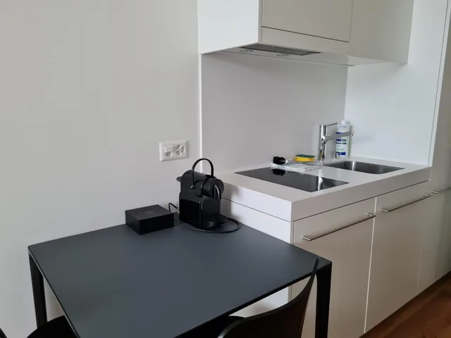 1 Bedroom, Connecting, Studio, Apartment, House, King Bed، Campus Hotel Hertenstein 7/7
