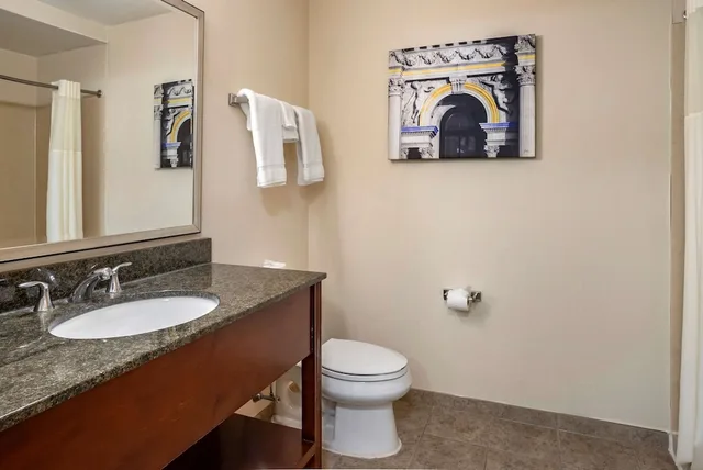 غرفة قياسية بسرير كينج لذوي الإعاقة، Philadelphia Airport South at Widener University 6/6