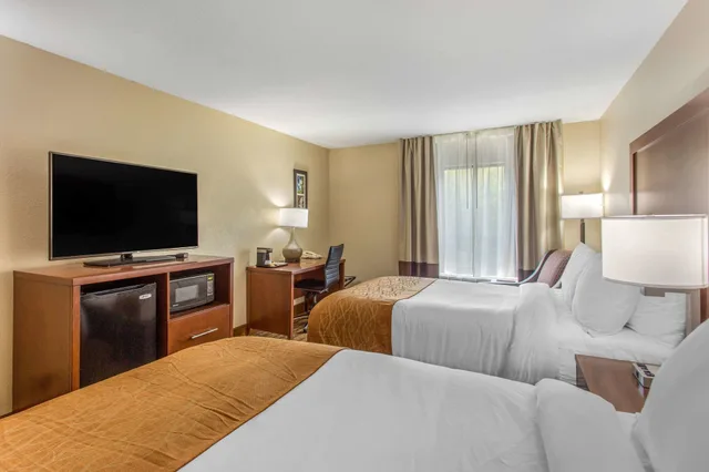 غرفة قياسية بسرير كينج، Comfort Inn Asheville East-Blue Ridge Pkwy Access 3/10