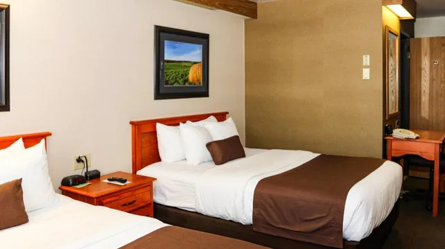 2 Queen Beds - Non-Smoking, Micfridge، Motel6 Minot, ND 1/10