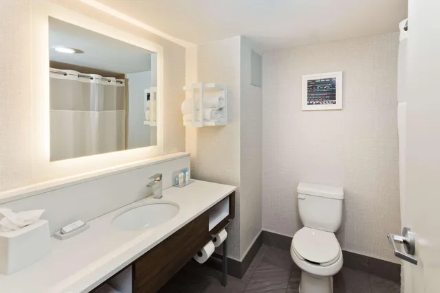 جناح استوديو بسرير كينج مع أريكة، Hampton Inn And Suites Lanett West Point 3/4