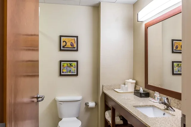 غرفة بسرير كينج لذوي الإعاقة، Comfort Inn Frederick - Ballenger Creek 2/2